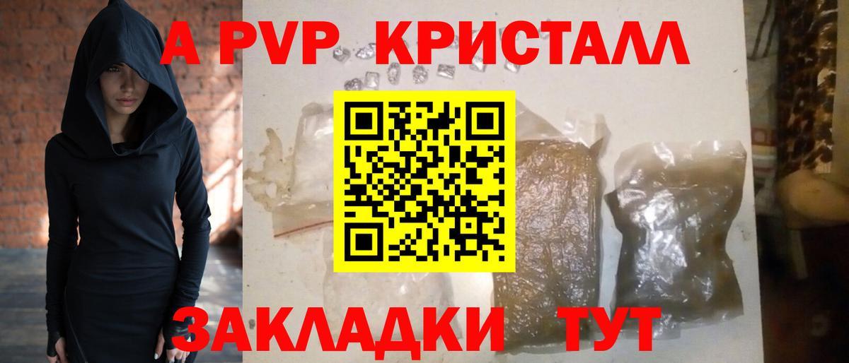 Альфа ПВП СК Киров
