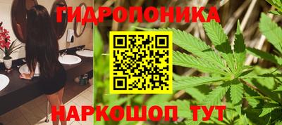 спиды Краснознаменск