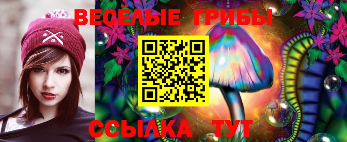 Псилоцибиновые грибы Magic Shrooms Киров